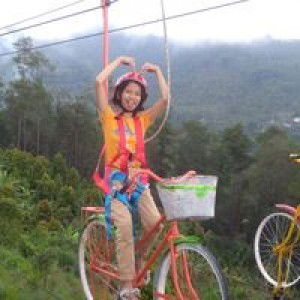 Mega Mei profile icon