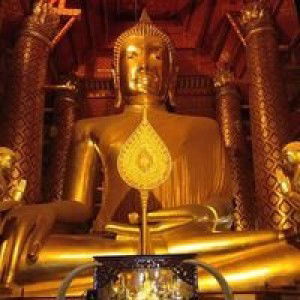 Tik Tikzing'g profile icon