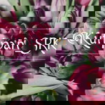 JADI BAIK MULAI SEKARANG profile icon