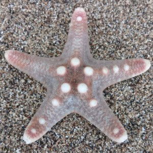 Maria Vanesa Arriola profile icon