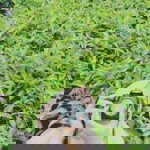 Nur Azzlina profile icon