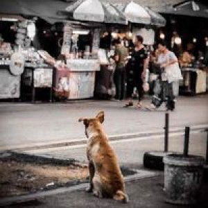 อาร์ม รถหวั่น profile icon