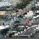 Vhia Viola profile icon