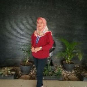 Desi Purwanti profile icon