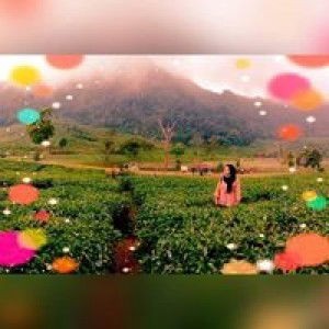 Riski Agusryany profile icon