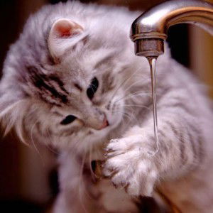 Narhaznira Osman profile icon