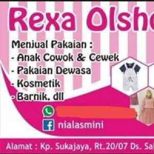 Nialasmini profile icon