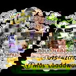 Mus Laddawan profile icon