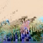 Yuliss Andriani Putri profile icon