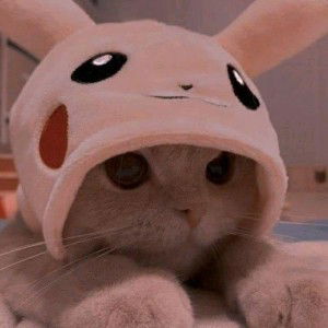 Iis Shalihah profile icon