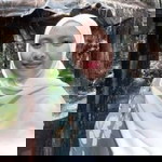 Diani Septiani profile icon