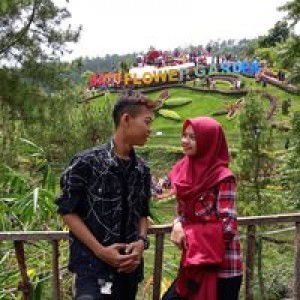 Meliyana Surya Purbatari profile icon