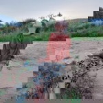 Sis Ter M profile icon