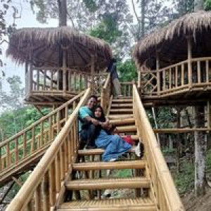 Serlywarliya profile icon