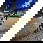 Deeq Anis Aazeen profile icon