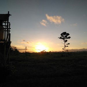 Siti Sa’adah profile icon