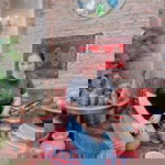 Bom Pawittra profile icon