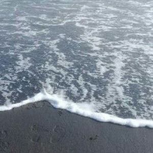 bariani musarofah profile icon