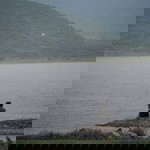 Sunisa Blue profile icon