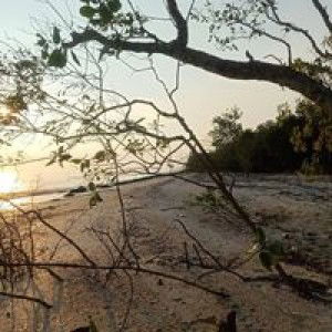 Umi Mazlin profile icon