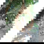 Patty Patty profile icon