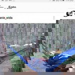 Wida Widiani profile icon