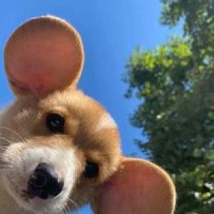 จิราภา สายกองคำ profile icon