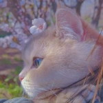 SitiRuzanna Binti Ramli profile icon