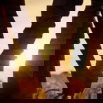 Fatin Rose profile icon