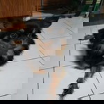 เอาที่ สบายใจล่ะกัน profile icon