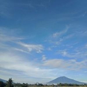 Tri Tiara Putri profile icon