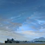 Tri Tiara Putri profile icon