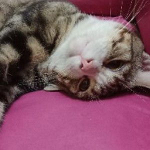 Ai Fitri Yuliani profile icon