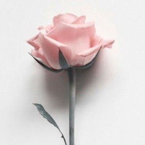 Elis Hermalasari profile icon