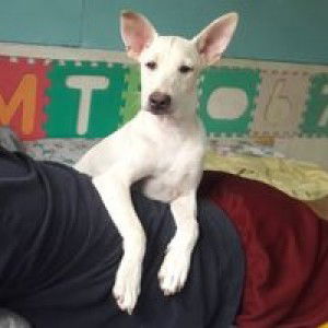 kwin vend profile icon