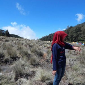 Diana Dianas profile icon