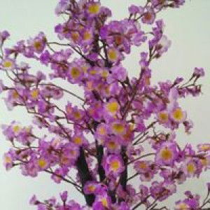 Ulfah Fzh profile icon