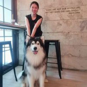 Best Pakinee profile icon