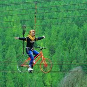 Susi Susanti profile icon