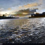 Yaowalak Manchamrun profile icon