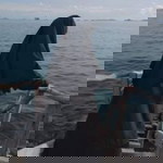 Sri Wahyuni profile icon