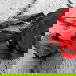 NUR IFFAH profile icon