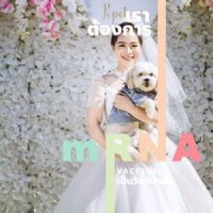 โอ 'โอ profile icon