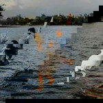 Elaine Pamela Español profile icon