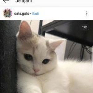 Ainun Raisya profile icon