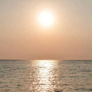 Rdyhryn profile icon