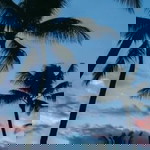 Alma Nisa profile icon