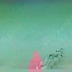 Erva Tiana II profile icon