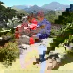 Yayah Shifar profile icon