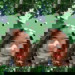 อัง เปา profile icon